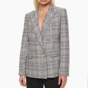 Aritzia Babaton Index Blazer